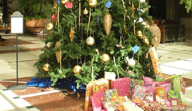 Un Árbol de los Deseos vuelve a llenar de magia a Abama