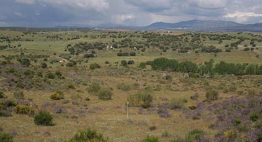 Impacto Ambiental positivo para el campo de golf de Tres Cantos