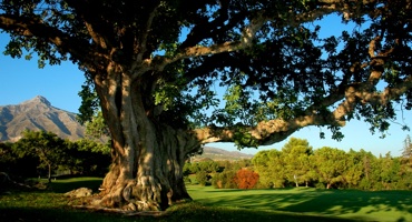 Aloha Golf, un clásico de singular belleza