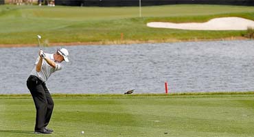 Rose y Gillis colideres en Florida